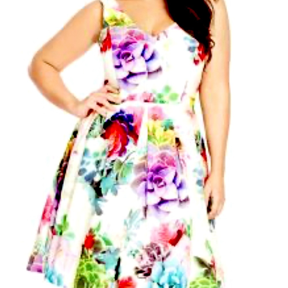 NWT City Chic Succulents A Line Dress 20w